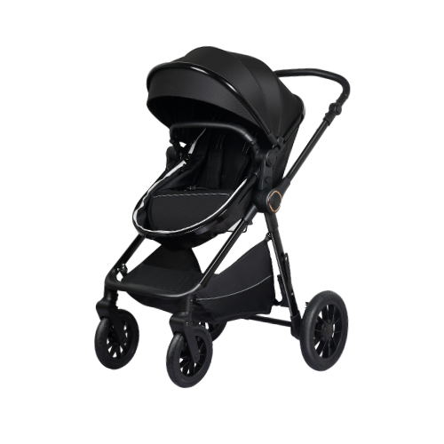 Ryde 3-in-1 Convertible Stroller